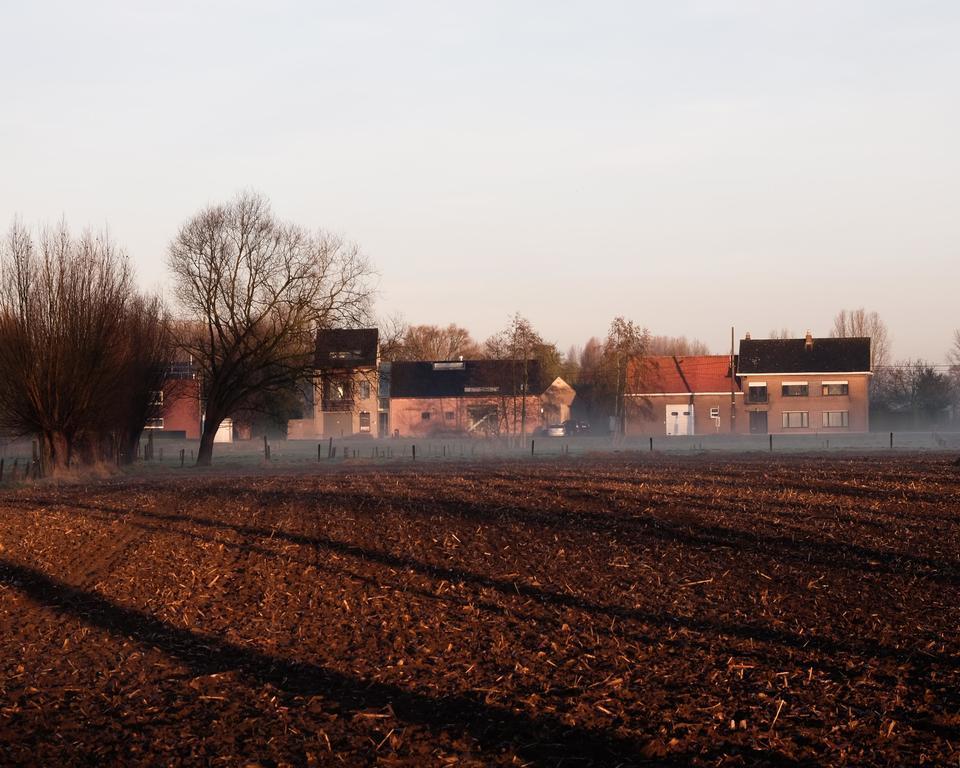 Villa Tartine Puurs Exteriör bild